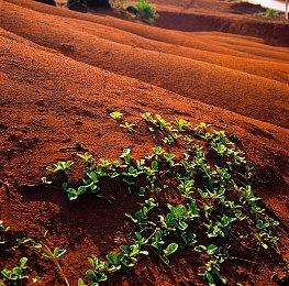 MMORPG《永恒之塔2》新预告 角色细节逼真